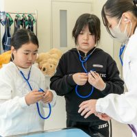 2026年1月12日_動物看護士のおしごと_