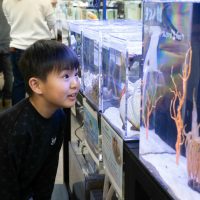 2026年1月12日_動物園の水族館のおしごと体験