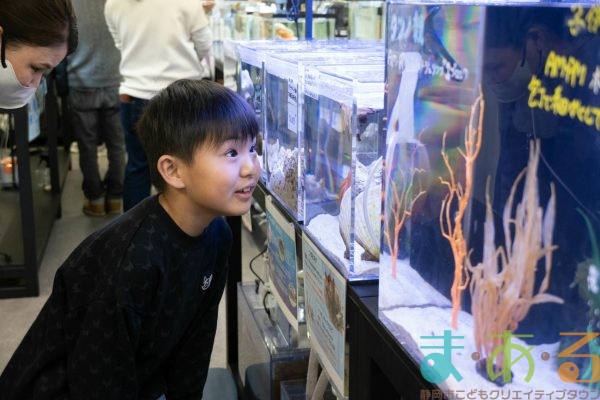 2026年1月12日_動物園の水族館のおしごと体験