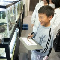 2026年1月12日_動物園の水族館のおしごと体験