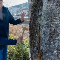 2026年1月19日_静岡市立服織西小学校_