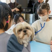 2026年1月12日_動物看護士のおしごと_