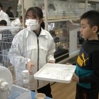 2026年1月12日_動物園の水族館のおしごと体験