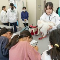 2026年1月12日_動物看護士のおしごと_