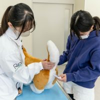 2026年1月12日_動物看護士のおしごと_