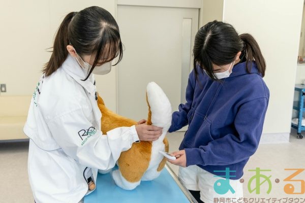 2026年1月12日_動物看護士のおしごと_