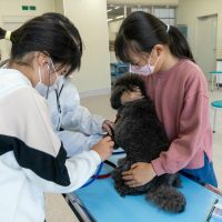 2026年1月12日_動物看護士のおしごと_