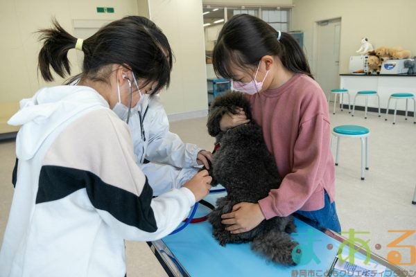 2026年1月12日_動物看護士のおしごと_