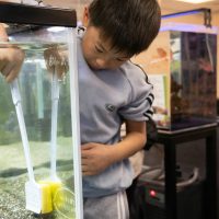 2026年1月12日_動物園の水族館のおしごと体験