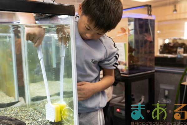 2026年1月12日_動物園の水族館のおしごと体験