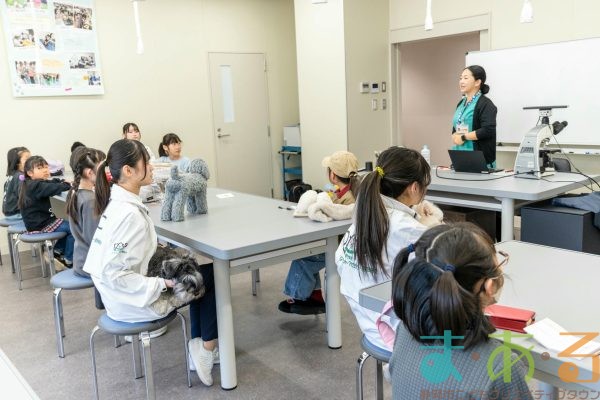 2026年1月12日_動物看護士のおしごと_
