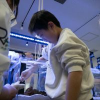 2026年1月12日_動物園の水族館のおしごと体験