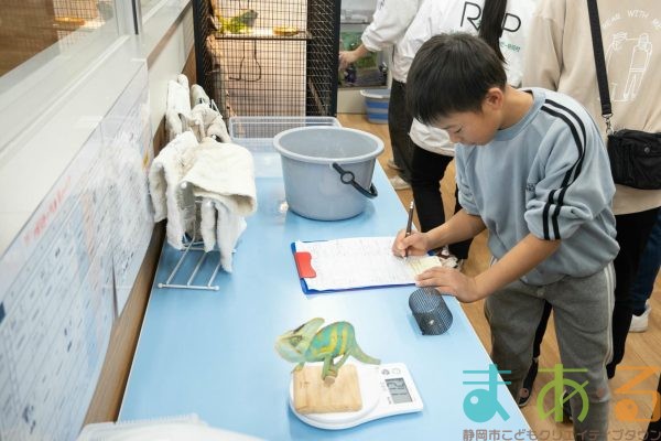2026年1月12日_動物園の水族館のおしごと体験