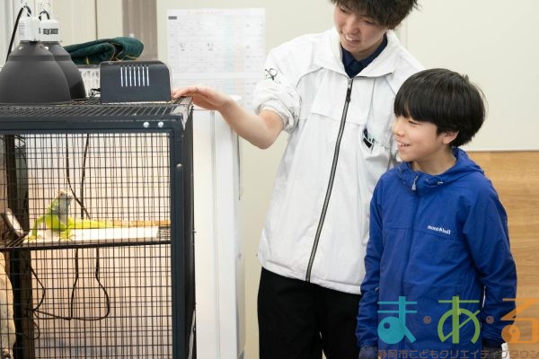 2026年1月12日_動物園の水族館のおしごと体験