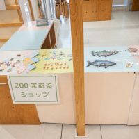 2026年1月23日_東豊田小学校