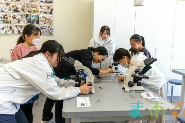 2026年1月12日_動物看護士のおしごと_