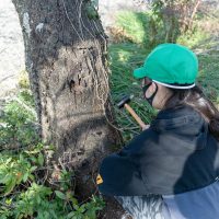 2026年1月19日_静岡市立服織西小学校_