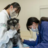 2026年1月12日_動物看護士のおしごと_