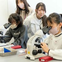 2026年1月12日_動物看護士のおしごと_