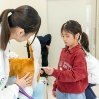 2026年1月12日_動物看護士のおしごと_