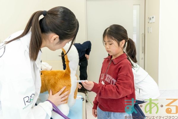 2026年1月12日_動物看護士のおしごと_