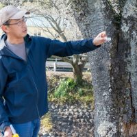 2026年1月19日_静岡市立服織西小学校_