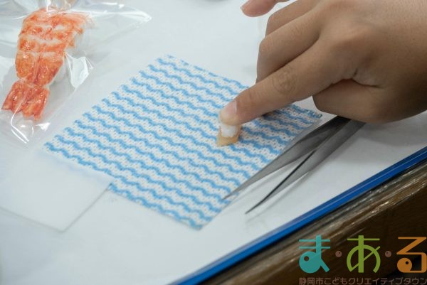 2026年2月23日_お寿司のキーホルダーとアイシングクッキーを作ろう！