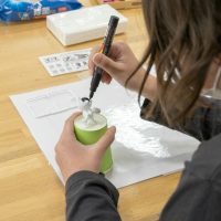 2026年2月5日_大谷小学校_MAR_9035_compressed