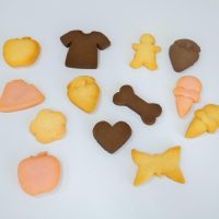 2026年2月23日_お寿司のキーホルダーとアイシングクッキーを作ろう！