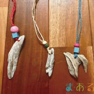 2026年5月30日_海洋ゴミ問題を学ぼう②