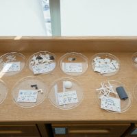 2026年2月28日_オリジナルの船を作って走らせよう!