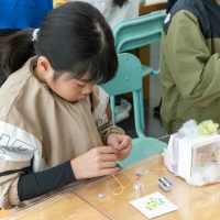 2026年2月22日_オリジナルきらきら宝箱