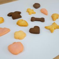 2026年2月23日_お寿司のキーホルダーとアイシングクッキーを作ろう！