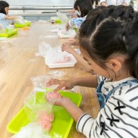 2026年3月1日_製剤体験！薬剤師とバスボム作り！