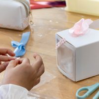 2026年2月22日_オリジナルきらきら宝箱☆