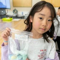 2026年3月1日_製剤体験！薬剤師とバスボム作り！