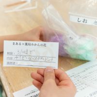 2026年3月1日_製剤体験！薬剤師とバスボム作り！
