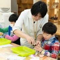 2026年3月1日_製剤体験！薬剤師とバスボム作り！