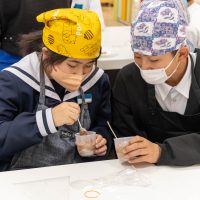 2026年3月5日_静岡市立清水第一中学校_パティシエ