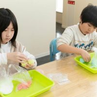 2026年3月1日_製剤体験！薬剤師とバスボム作り！