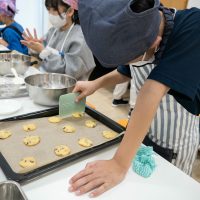2026年3月19日_メロンパン風チョコチップクッキー