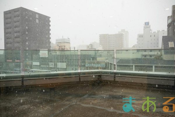 2026年2月8日_こどもバザール