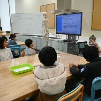 2026年3月23日_鍼灸師のおしごと