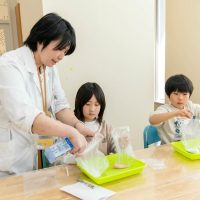 2026年3月1日_製剤体験！薬剤師とバスボム作り！