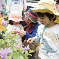 2026年5月23日_ちびっこ野遊び会
